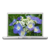 苹果 MacBook Pro MD103 15.4寸笔记本（三代I7/16GB/256G SSD/独显 GT650M）